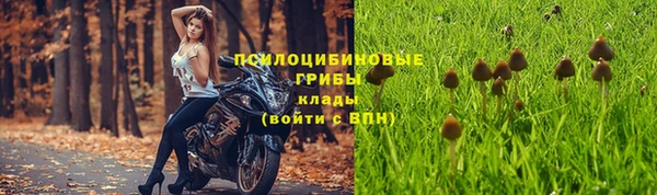 соль ск Арсеньев