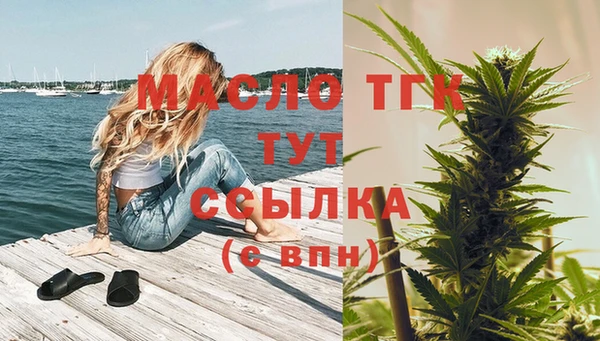крисы Аркадак
