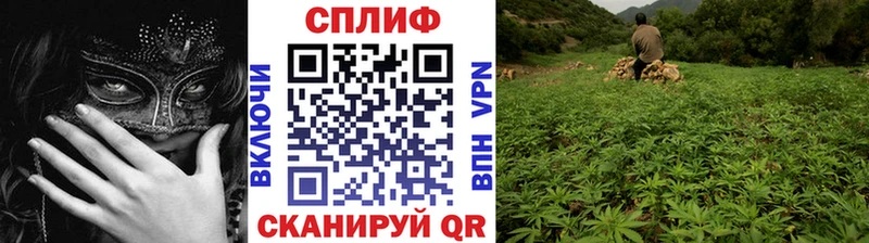 Марихуана планчик  Сорск 